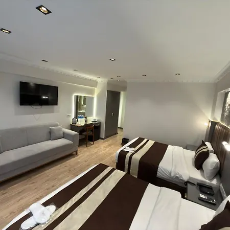 酒店 塔克辛蓝色伊斯坦布尔酒店 3*