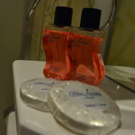 블루 탁심 호텔 이스탄불