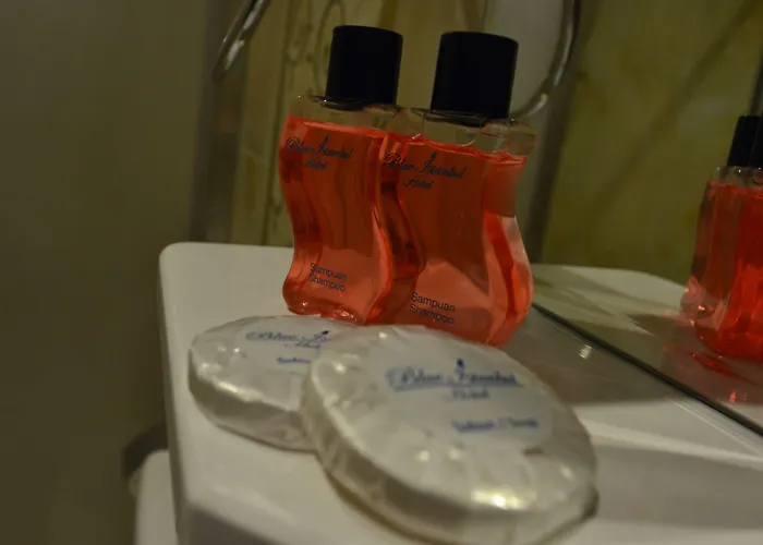 Blue Taksim מלון איסטמבול